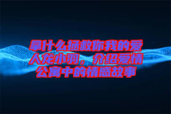 拿什么拯救你我的愛人龍小羽，介紹愛情公寓中的情感故事