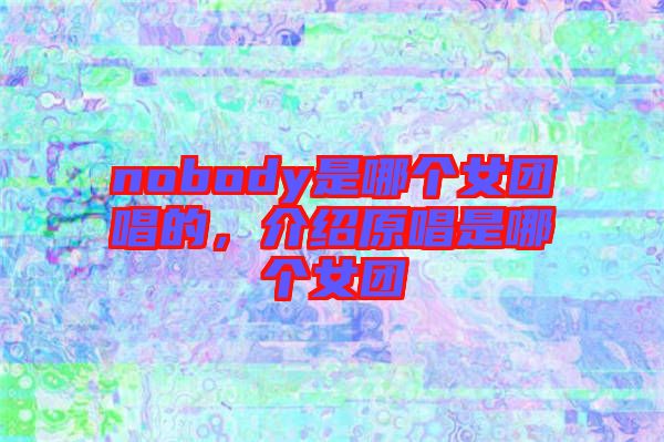 nobody是哪個女團唱的，介紹原唱是哪個女團