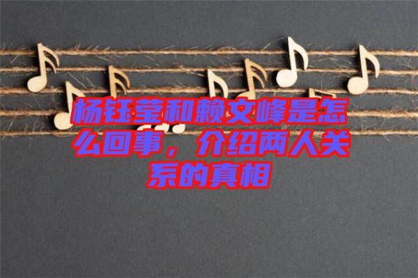 楊鈺瑩和賴文峰是怎么回事，介紹兩人關(guān)系的真相