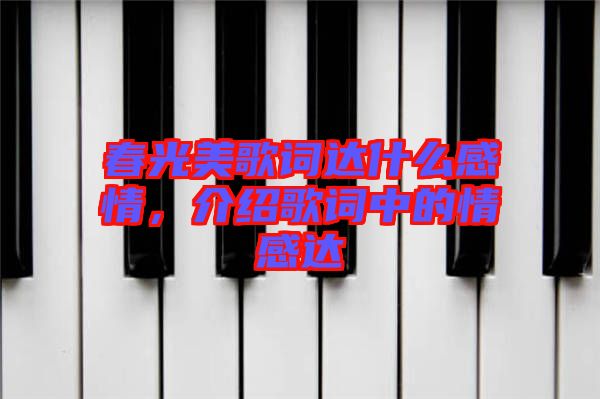 春光美歌詞達(dá)什么感情，介紹歌詞中的情感達(dá)