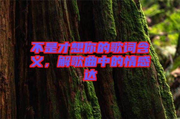 不是才想你的歌詞含義，解歌曲中的情感達(dá)