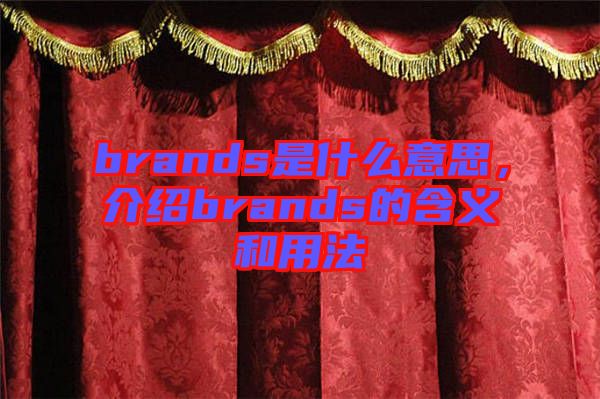 brands是什么意思，介紹brands的含義和用法