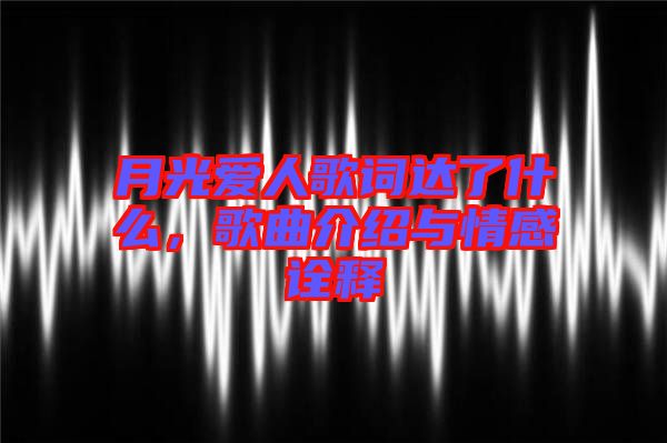 月光愛人歌詞達(dá)了什么，歌曲介紹與情感詮釋