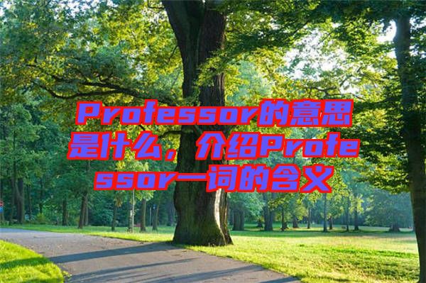 Professor的意思是什么，介紹Professor一詞的含義