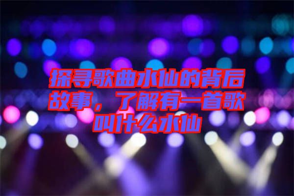 探尋歌曲水仙的背后故事，了解有一首歌叫什么水仙