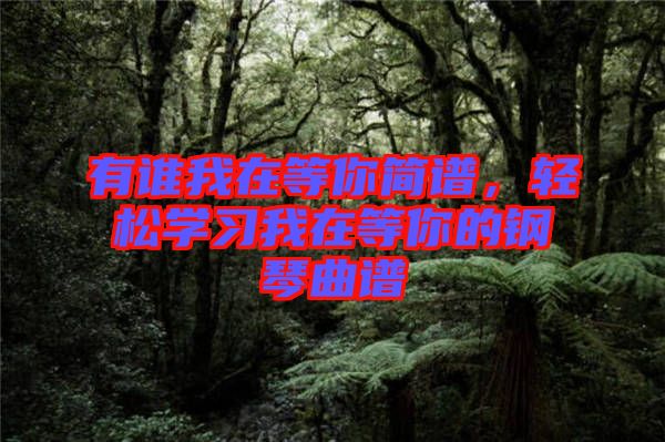 有誰(shuí)我在等你簡(jiǎn)譜，輕松學(xué)習(xí)我在等你的鋼琴曲譜