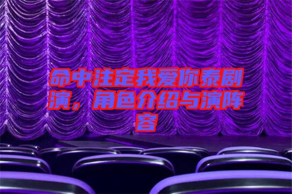 命中注定我愛你泰劇演，角色介紹與演陣容