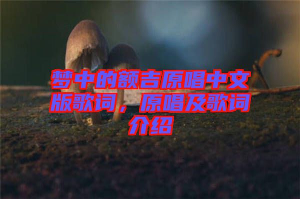 夢中的額吉原唱中文版歌詞，原唱及歌詞介紹