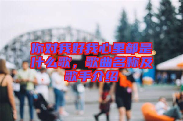 你對(duì)我好我心里都是什么歌，歌曲名稱及歌手介紹