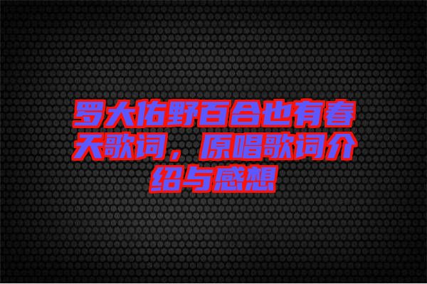 羅大佑野百合也有春天歌詞，原唱歌詞介紹與感想