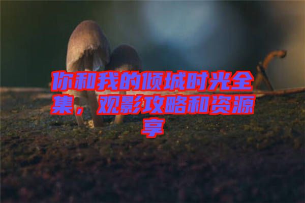 你和我的傾城時(shí)光全集，觀影攻略和資源享