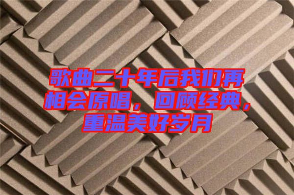 歌曲二十年后我們?cè)傧鄷?huì)原唱，回顧經(jīng)典，重溫美好歲月