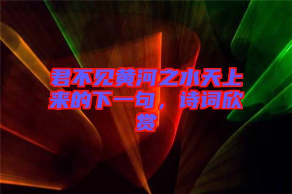 君不見黃河之水天上來(lái)的下一句，詩(shī)詞欣賞