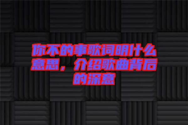 你不的事歌詞明什么意思，介紹歌曲背后的深意