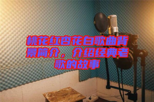 桃花紅杏花白歌曲背景簡(jiǎn)介，介紹經(jīng)典老歌的故事