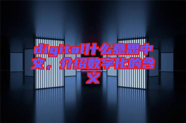 digital什么意思中文，介紹數字化的含義