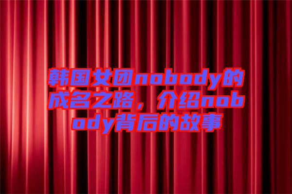 韓國(guó)女團(tuán)nobody的成名之路，介紹nobody背后的故事