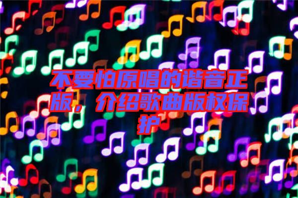 不要怕原唱的諧音正版，介紹歌曲版權(quán)保護