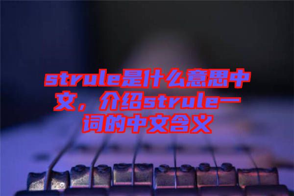 strule是什么意思中文，介紹strule一詞的中文含義