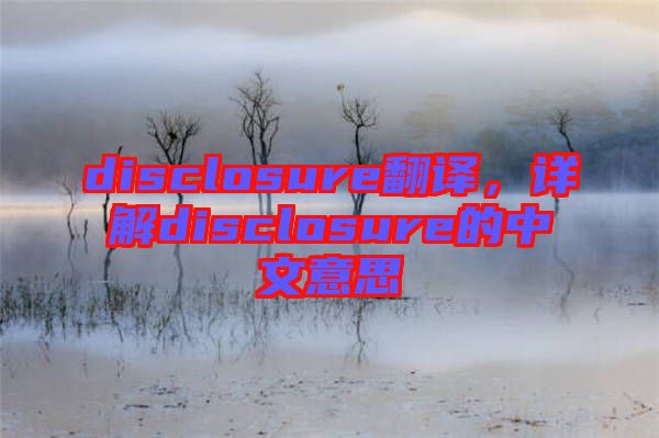 disclosure翻譯，詳解disclosure的中文意思