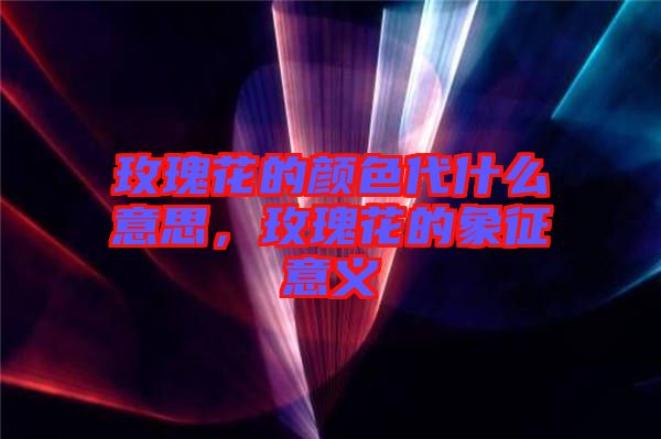 玫瑰花的顏色代什么意思，玫瑰花的象征意義