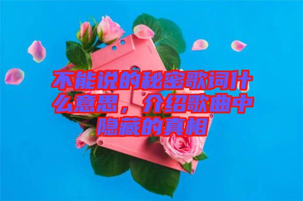 不能說的秘密歌詞什么意思，介紹歌曲中隱藏的真相