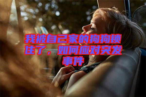 我被自己家的狗狗鎖住了，如何應(yīng)對突發(fā)事件