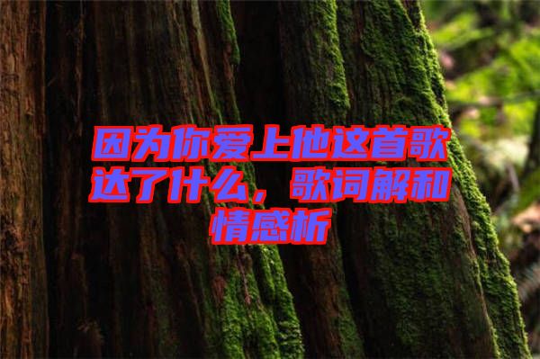 因?yàn)槟銗?ài)上他這首歌達(dá)了什么，歌詞解和情感析