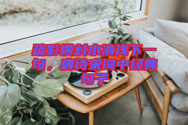 疏影橫斜水清淺下一句，唐詩宋詞中經(jīng)典句子