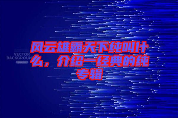 風(fēng)云雄霸天下純叫什么，介紹一經(jīng)典的純專輯