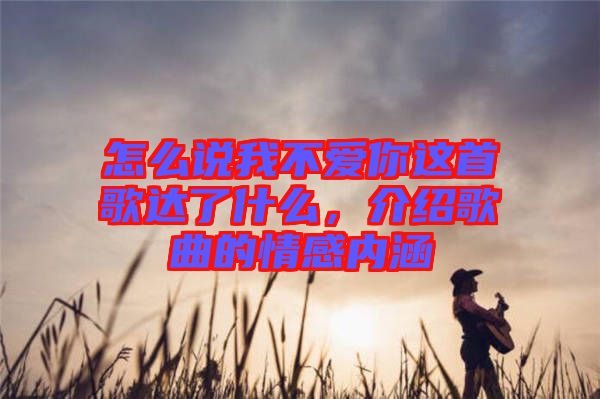 怎么說我不愛你這首歌達(dá)了什么，介紹歌曲的情感內(nèi)涵