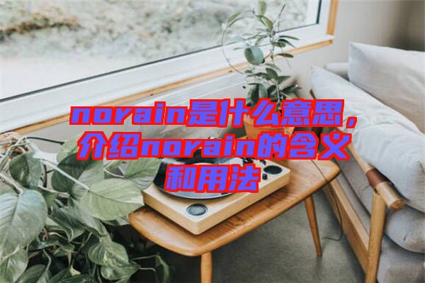 norain是什么意思，介紹norain的含義和用法