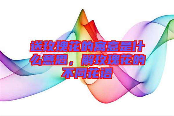 送玫瑰花的寓意是什么意思，解玫瑰花的不同花語