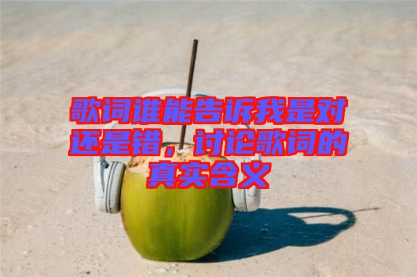 歌詞誰能告訴我是對(duì)還是錯(cuò)，討論歌詞的真實(shí)含義