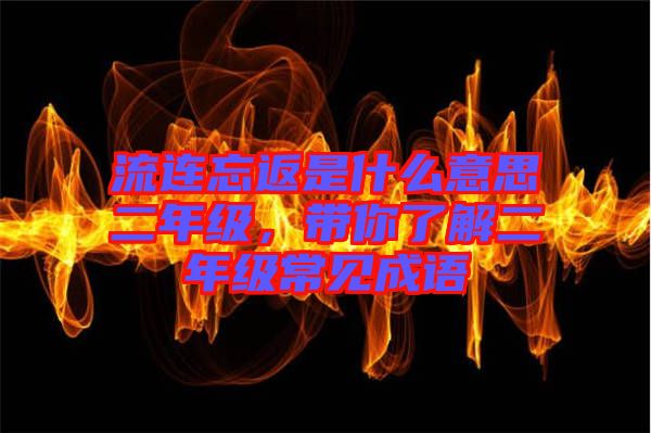 流連忘返是什么意思二年級，帶你了解二年級常見成語