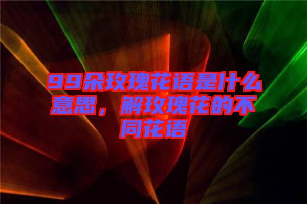 99朵玫瑰花語是什么意思，解玫瑰花的不同花語