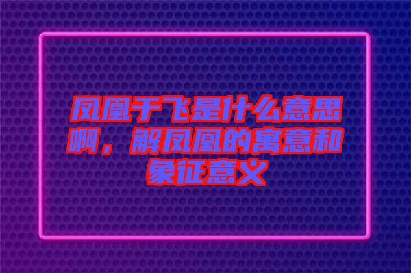 鳳凰于飛是什么意思啊，解鳳凰的寓意和象征意義