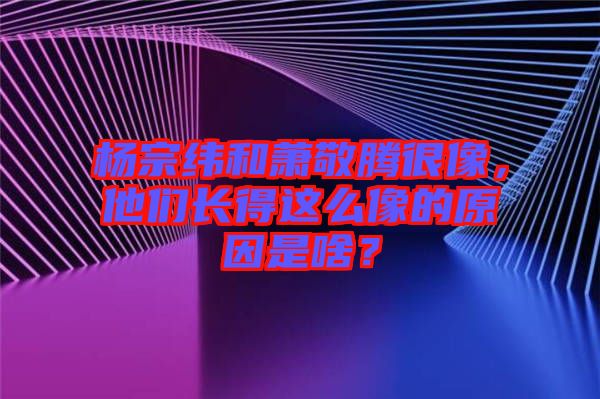 楊宗緯和蕭敬騰很像，他們長(zhǎng)得這么像的原因是啥？