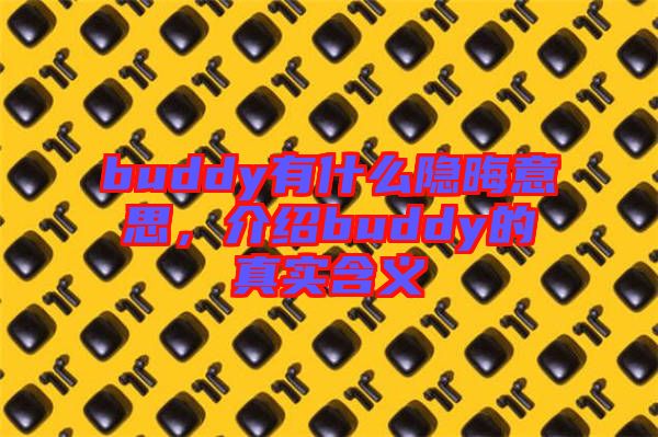 buddy有什么隱晦意思，介紹buddy的真實含義