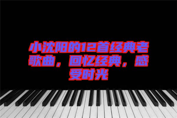 小沈陽的12首經(jīng)典老歌曲，回憶經(jīng)典，感受時(shí)光