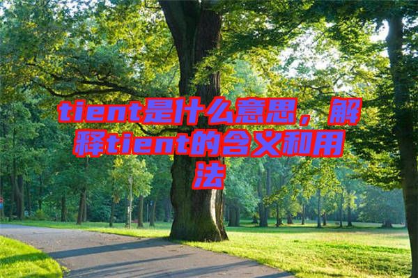 tient是什么意思，解釋tient的含義和用法