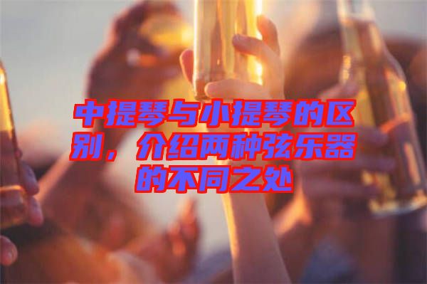 中提琴與小提琴的區(qū)別，介紹兩種弦樂器的不同之處