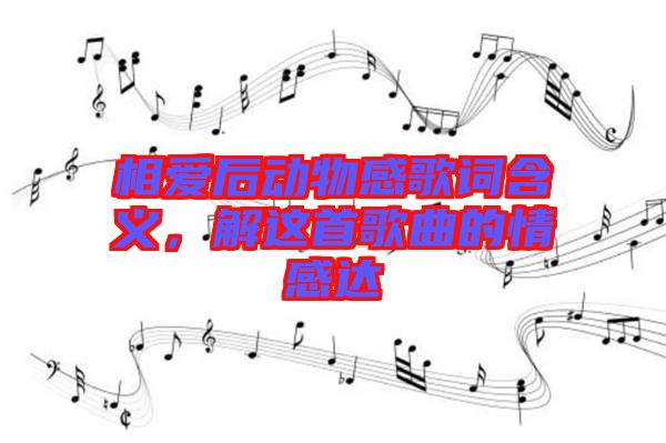 相愛后動(dòng)物感歌詞含義，解這首歌曲的情感達(dá)