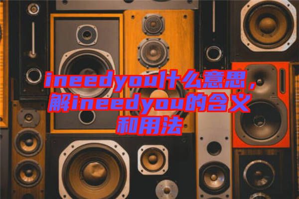 ineedyou什么意思，解ineedyou的含義和用法