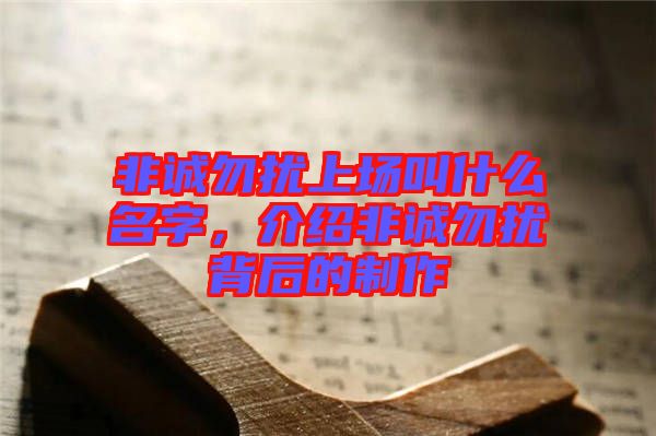 非誠勿擾上場叫什么名字，介紹非誠勿擾背后的制作