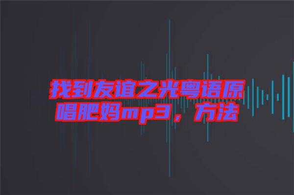 找到友誼之光粵語原唱肥媽mp3，方法