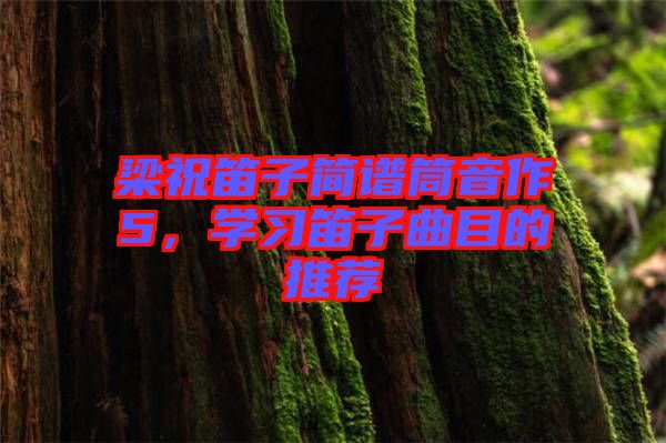 梁祝笛子簡(jiǎn)譜筒音作5，學(xué)習(xí)笛子曲目的推薦