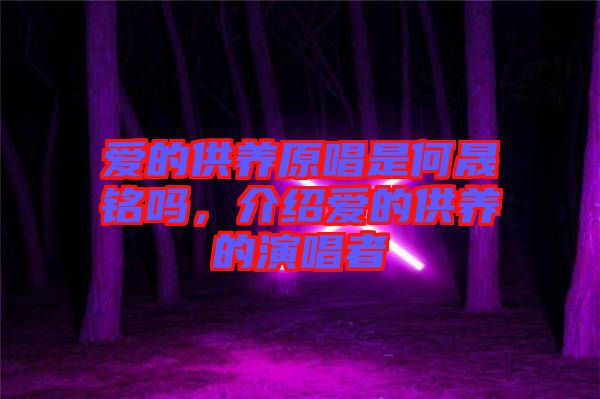 愛(ài)的供養(yǎng)原唱是何晟銘嗎，介紹愛(ài)的供養(yǎng)的演唱者