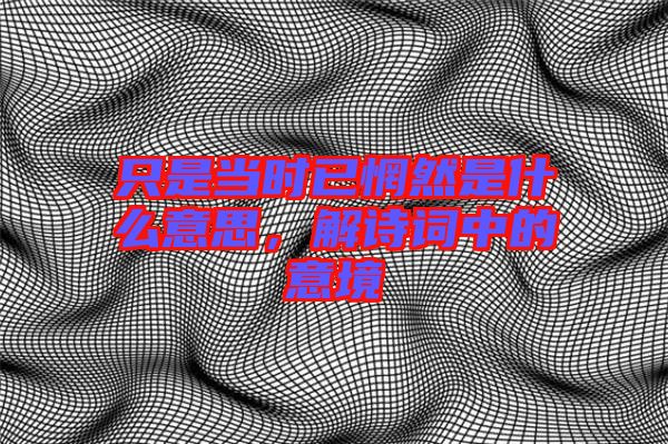 只是當時已惘然是什么意思，解詩詞中的意境