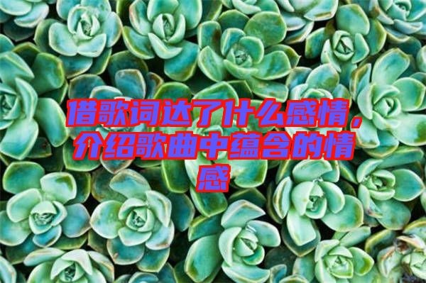 借歌詞達(dá)了什么感情，介紹歌曲中蘊(yùn)含的情感